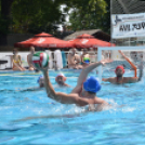 Amatőr Vízilabda Torna