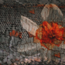 ,,Tudom e mérni a mérhetetlent’’