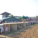 Bor és laskafesztivál - II