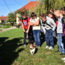 Állatok világnapja a Vörösmarty téren