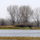 Belvízkárok Cegléden