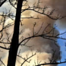 Száraz növényzet égett