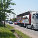 Bor és laskafesztivál - I