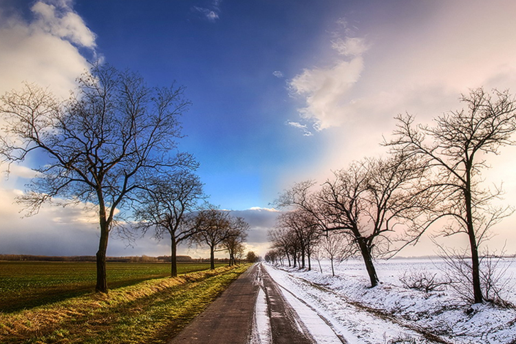 A tél és a tavasz versenyezenek