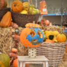 Családi tökfaragás az Oázis Kertészetben