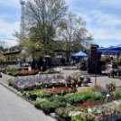 Virágvásár és főzőfesztivál Csemőben