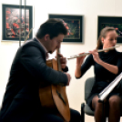 Felfüggesztett pillantásaim - Baán Katalin kiállítása Dabason 