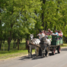 Nyitott Pince Napok - Kökény és Fia Családi Borászat