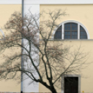 Márton napi felvonulás