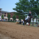 Bor és laskafesztivál - II