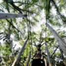 Református nevelőszülők találkoztak Cegléden