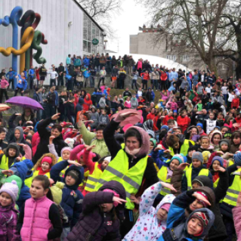Pest Megyei Futó- és Gyaloglónap