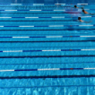 Városi úszóverseny