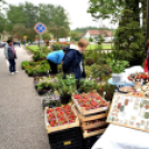 Anyák napi virágvásár és Anyám tyúkja főzőverseny