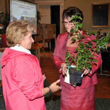 Környezetvédelmi program díjátadó