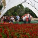 Kovács Zoltánra emlékeztek Csemőben