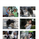 Ez történt Cegléden 2012