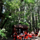 Református nevelőszülők találkoztak Cegléden