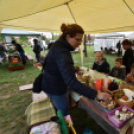 Anyámtyúkja - Csemő