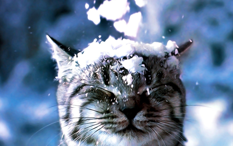 Figyelem! Estétől hullhat a pelyhes 