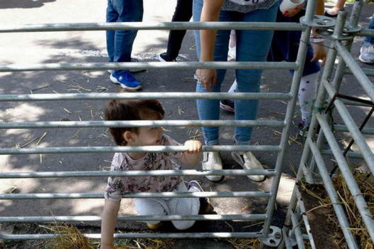 Pöttyös gyermeknap 2019