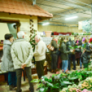 Orchideák éjszakája az Oázis kertészetben