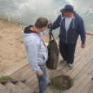 Éhmann Ferenc Emlék Kupa