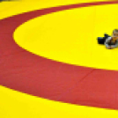 NB I-es birkózó csapatbajnokság -A- csoport