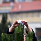 Karácsonyfa díszítő verseny