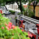 VIHAR UTÁN A MÚZEUM UTCÁBAN