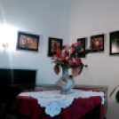 BAÁN KATALIN fotókiállítása(telefonos fotóriport)