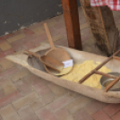 Rózsák Hétvégéje - Oázis Kertészeti Áruház