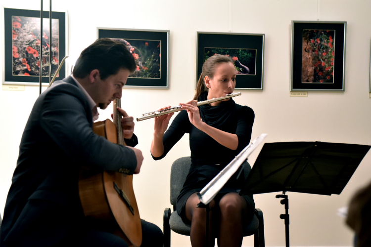 Felfüggesztett pillantásaim - Baán Katalin kiállítása Dabason 