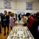 A gyógyszerészet emlékei a Kossuth Múzeumban