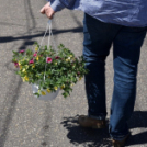 Virágvásár és főzőfesztivál Csemőben