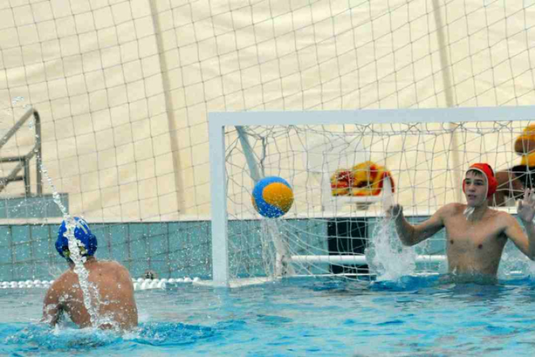 Ceglèdi Vasutas Sport Egyesület - Csabai Csirkefogók VK  (Bèkèscsaba)  9 - 8 