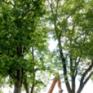 Városi Strandfürdő - Ledarálták az 50-est