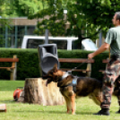Honvédelmi napot tartottak a Mezgázban