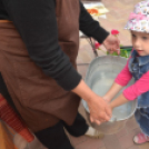 Rózsák Hétvégéje - Oázis Kertészeti Áruház