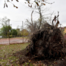 Októberi orkán Cegléden