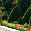 Színpompás bemutató