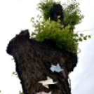 Gyermeknapi meglepetés a Szabadság téren