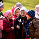 Márton napi felvonulás