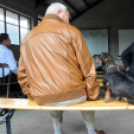 Csemői kerekasztal beszélgetés a szilváról