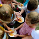 Csibenap a Várkonyiban