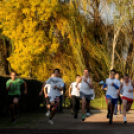 Iskolák közti futóverseny