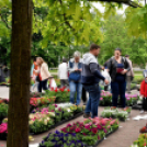 Anyák napi virágvásár és Anyám tyúkja főzőverseny