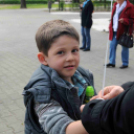 Autizmus Világnapja Cegléden