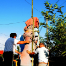 Rejtek a ceglédi kórházban