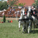 IX. Bor és Laskafesztivál - IV. Ceglédi Vágta